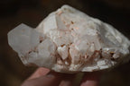 Natural White Candle Quartz Crystals  x 3 From Madagascar - Toprock Gemstones and Minerals 