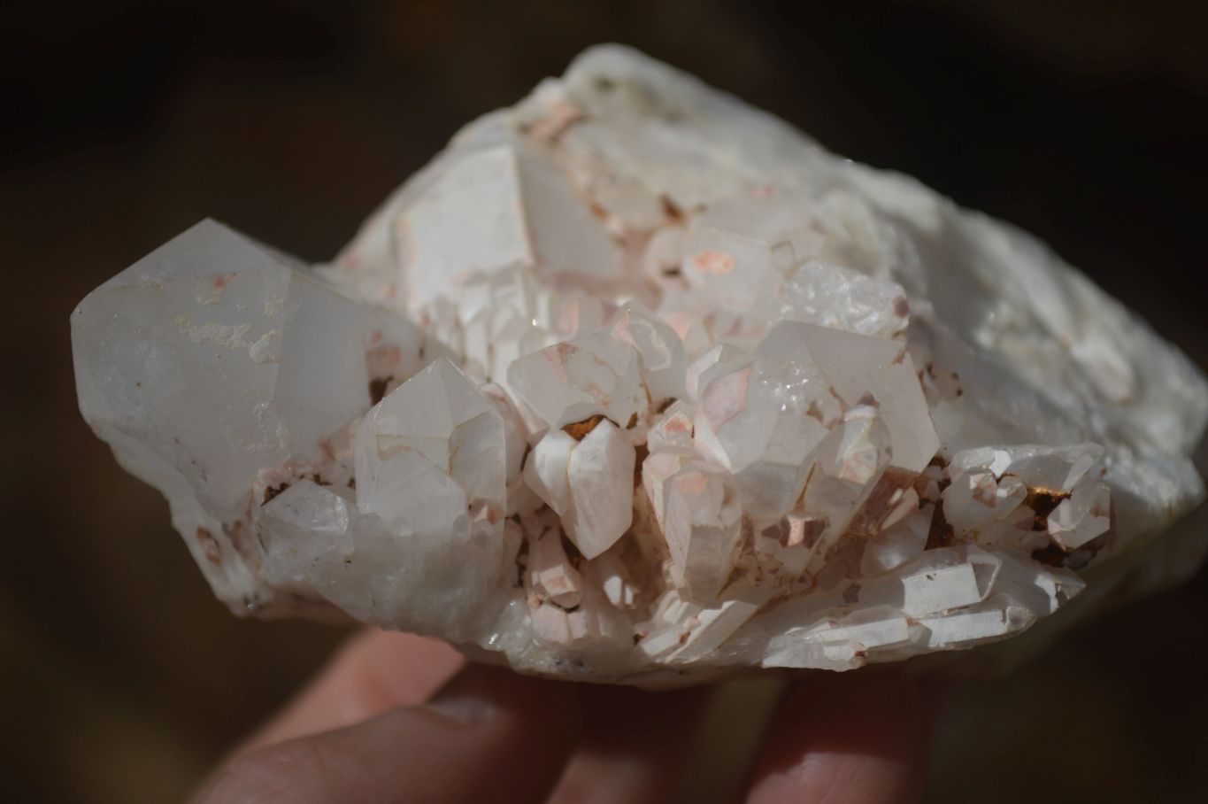 Natural White Candle Quartz Crystals  x 3 From Madagascar - Toprock Gemstones and Minerals 