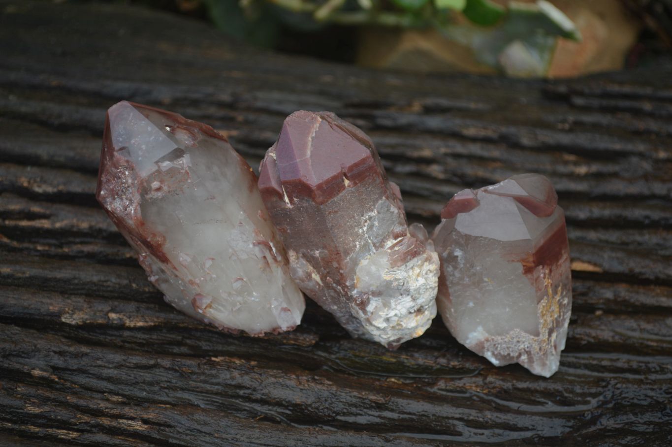 Natural Red Hematoid Quartz Specimens x 12 From Karoi, Zimbabwe - Toprock Gemstones and Minerals 