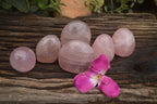 Polished Gemmy Pink Rose Quartz Standing Free Forms  x 6 From Ambatondrazaka, Madagascar - TopRock