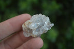 Natural Mini Golden Limonite / Lemonite Quartz Specimens  x 70 From Zambia - Toprock Gemstones and Minerals 