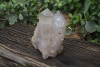 Natural Large Multi Terminated Quartz Crystal Point x 1 From Angola - Toprock Gemstones and Minerals 