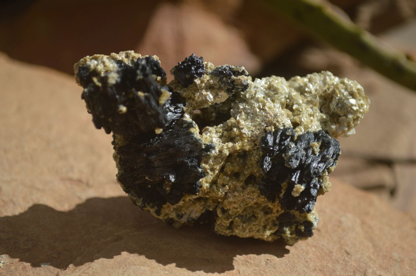 Natural Schorl Black Tourmaline Specimens x 6 From Erongo, Namibia - Toprock Gemstones and Minerals 