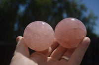 Polished Star Rose Quartz Spheres x 6 From Ambatondrazaka, Madagascar - TopRock