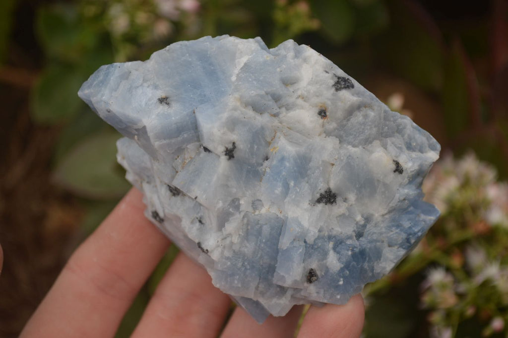 Natural New Sky Blue Calcite Specimens  x 12 From Spitzkop, Namibia - Toprock Gemstones and Minerals 