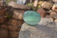 Polished Emerald Fluorite Palm Stones  x 20 From Madagascar
