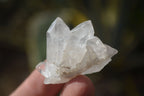 Natural Single Etched Clear Quartz Crystals x 70 From Mpika, Zambia - Toprock Gemstones and Minerals 