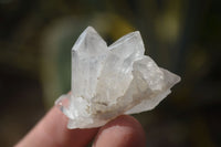 Natural Single Etched Clear Quartz Crystals x 70 From Mpika, Zambia - Toprock Gemstones and Minerals 