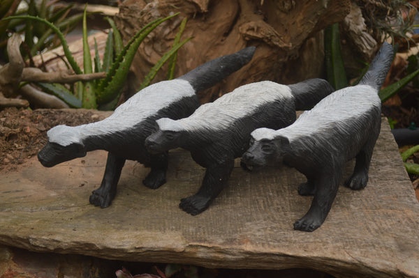Polished Soap Stone Honey Badger Carving - Sold per piece - From Zimbabwe - TopRock