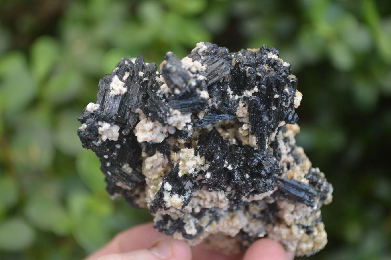 Natural Schorl Black Tourmaline Specimens x 6 From Erongo, Namibia - Toprock Gemstones and Minerals 
