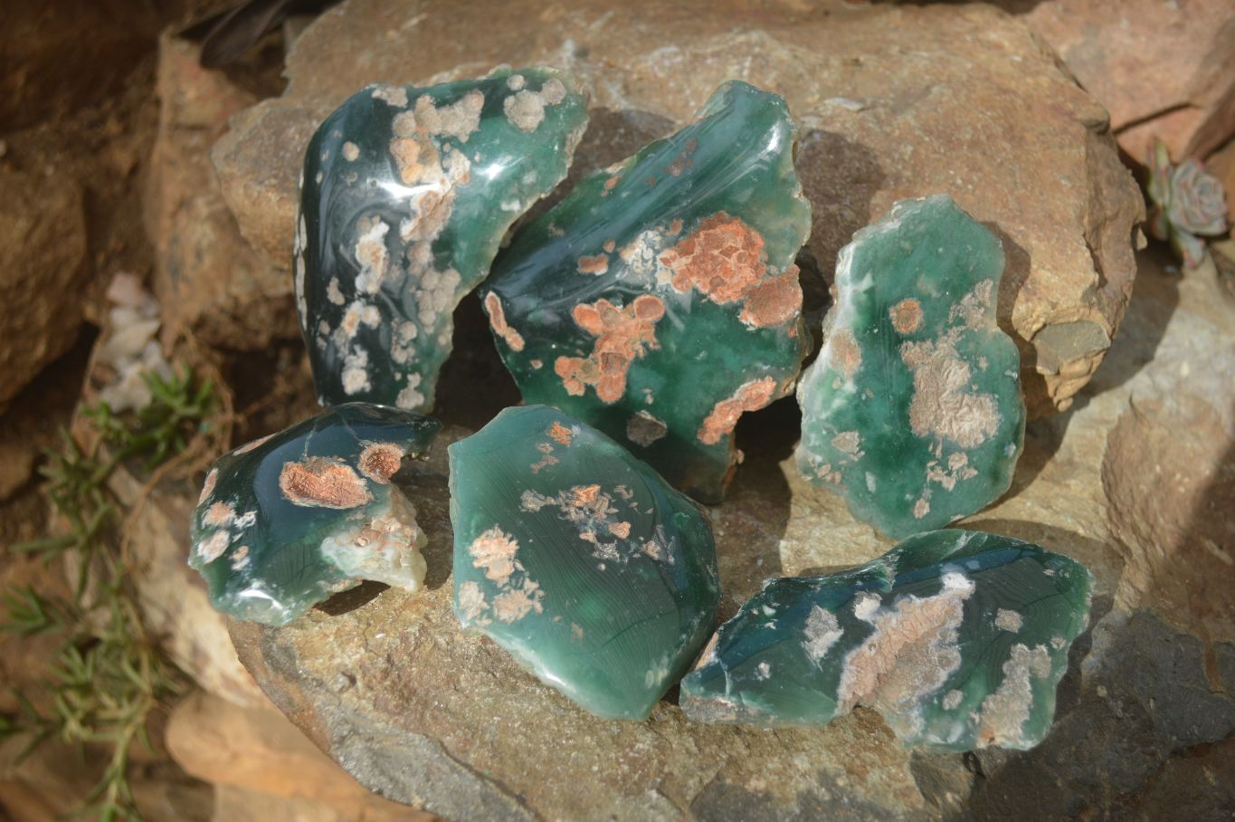 Polished One Side Polished Emerald Mtorolite Plates  x 6 From Zimbabwe - Toprock Gemstones and Minerals 
