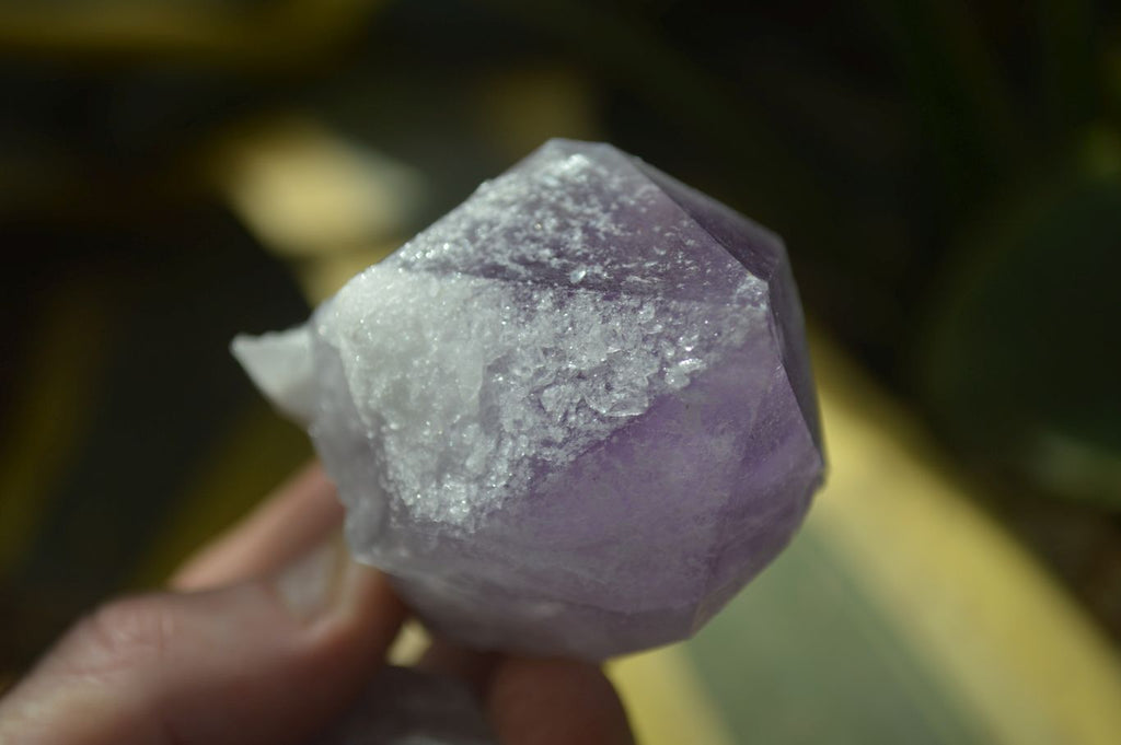 Natural Single Jacaranda Amethyst Crystals x 12 From Mumbwe, Zambia - Toprock Gemstones and Minerals 