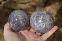 Polished Purple Lepidolite & Rubellite Spheres  x 8 From Madagascar - Toprock Gemstones and Minerals 