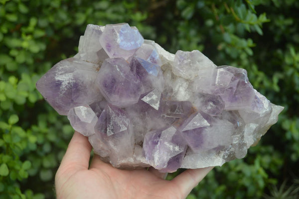 Natural Jacaranda Amethyst Cluster x 1 From Zambia - Toprock Gemstones and Minerals 