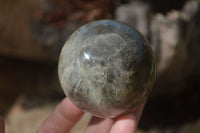 Polished Stunning Mixed Selection Of Spheres  x 6 From Madagascar - Toprock Gemstones and Minerals 