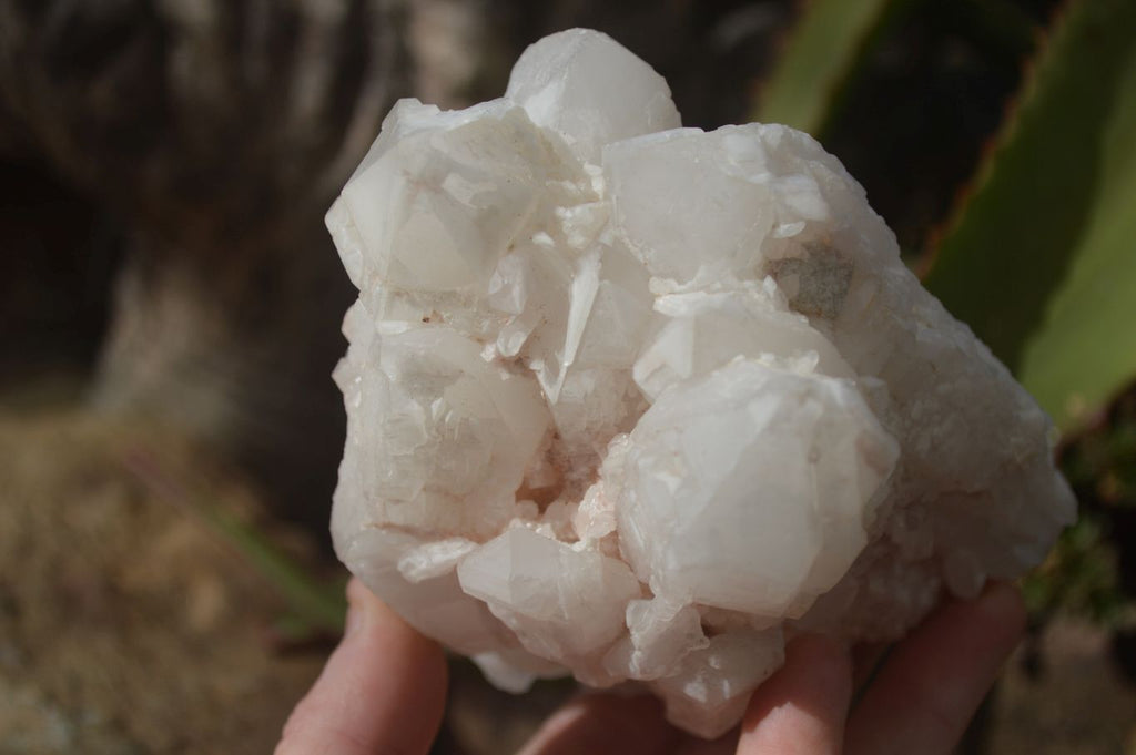Natural White Candle Quartz Crystals  x 3 From Madagascar - Toprock Gemstones and Minerals 
