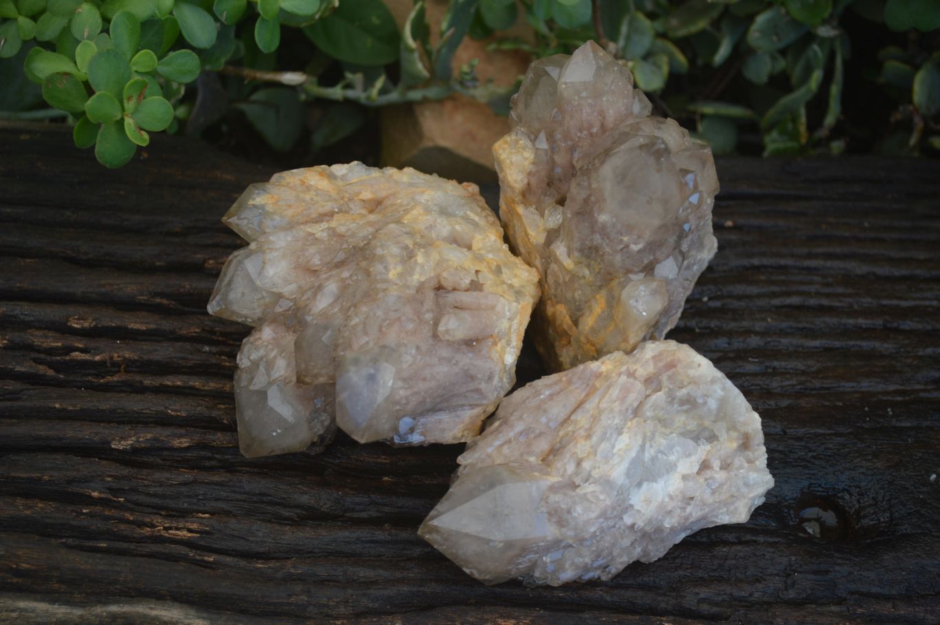 Natural Cascading White Phantom Smokey Quartz Clusters  x 3 From Luena, Congo - Toprock Gemstones and Minerals 