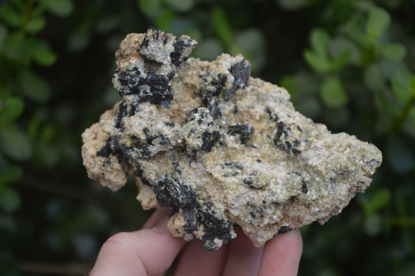 Natural Schorl Black Tourmaline Specimens x 6 From Erongo, Namibia - Toprock Gemstones and Minerals 