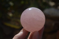 Polished Stunning Mixed Selection Of Spheres  x 6 From Madagascar - Toprock Gemstones and Minerals 