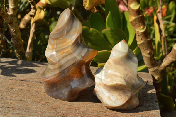 Polished Stunning Banded Agate Flame Sculptures x 2 From Madagascar - TopRock