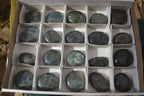 Polished Labradorite Palm Stones  x 20 From Tulear, Madagascar - Toprock Gemstones and Minerals 