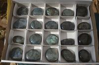 Polished Labradorite Palm Stones  x 20 From Tulear, Madagascar - Toprock Gemstones and Minerals 
