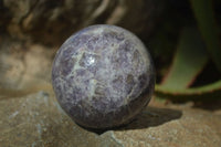 Polished Purple Lepidolite & Rubellite Spheres  x 8 From Madagascar - Toprock Gemstones and Minerals 