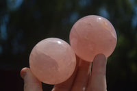 Polished Star Rose Quartz Spheres x 6 From Ambatondrazaka, Madagascar - TopRock