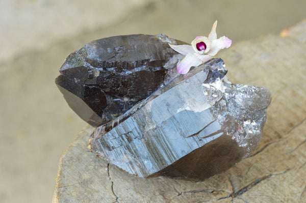 Natural Twin Floater Self Healed Smokey Quartz Crystal  x 1 From Mt. Mulanje, Malawi - TopRock