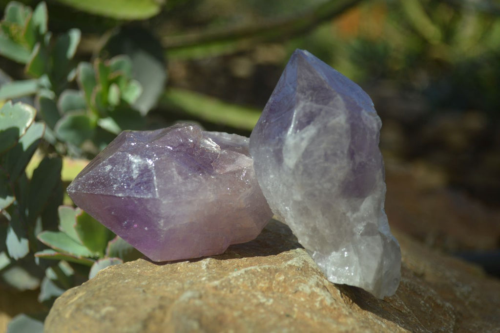 Natural Single Jacaranda Amethyst Crystals x 12 From Mumbwe, Zambia - Toprock Gemstones and Minerals 