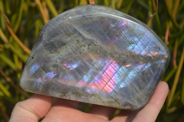 Polished Rare Purple Flash Labradorite Standing Free Forms x 2 From Tulear, Madagascar - Toprock Gemstones and Minerals 