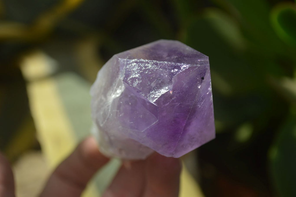 Natural Single Jacaranda Amethyst Crystals x 12 From Mumbwe, Zambia - Toprock Gemstones and Minerals 