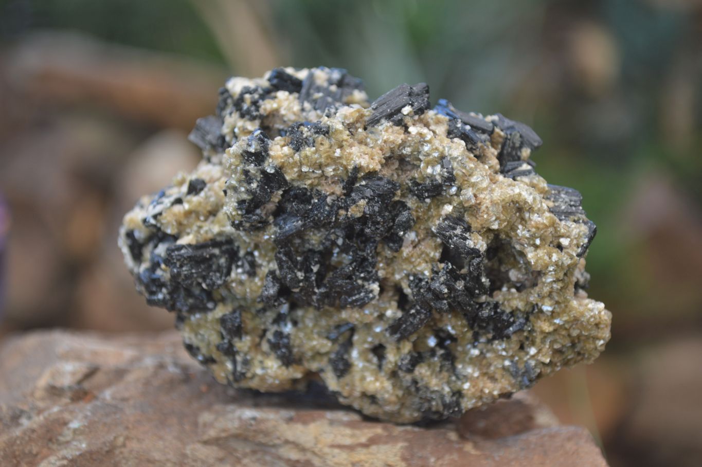 Natural Schorl Black Tourmaline Specimens x 6 From Erongo, Namibia - Toprock Gemstones and Minerals 