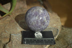 Polished Purple Lepidolite & Rubellite Spheres  x 8 From Madagascar - Toprock Gemstones and Minerals 