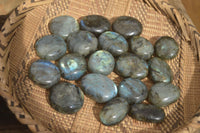 Polished Labradorite Palm Stones  x 20 From Tulear, Madagascar - Toprock Gemstones and Minerals 