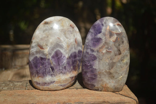 Polished Dream Amethyst Standing Free Forms  x 2 From Madagascar - Toprock Gemstones and Minerals 