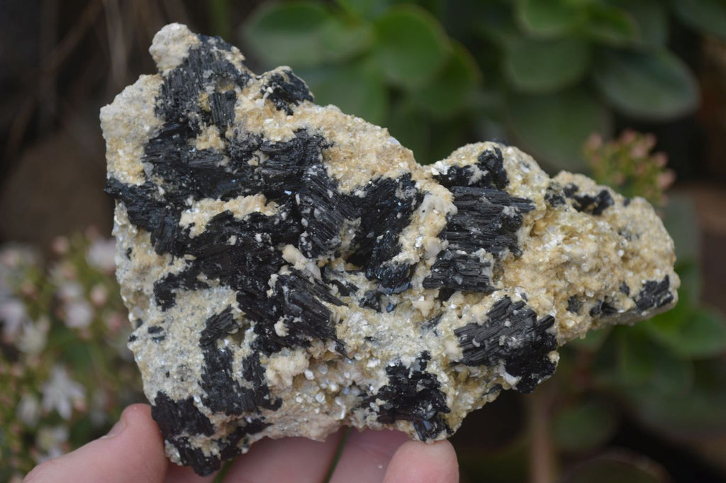 Natural Schorl Black Tourmaline Specimens x 6 From Erongo, Namibia - Toprock Gemstones and Minerals 