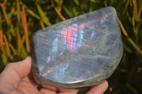 Polished Rare Purple Flash Labradorite Standing Free Forms x 2 From Tulear, Madagascar - Toprock Gemstones and Minerals 