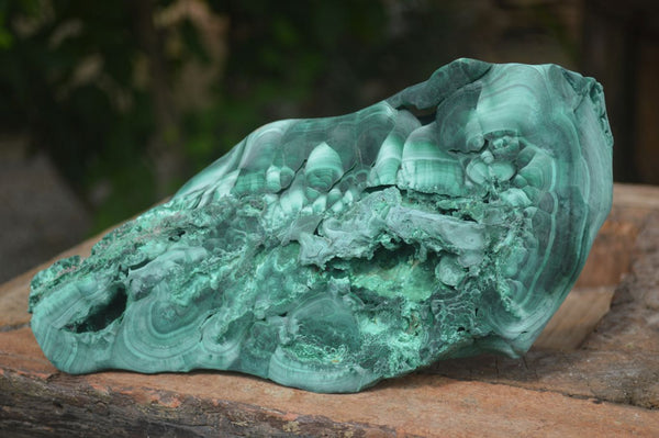 Natural Large Chatoyant Silky Malachite Specimen x 1 From Kasompe, Congo - Toprock Gemstones and Minerals 