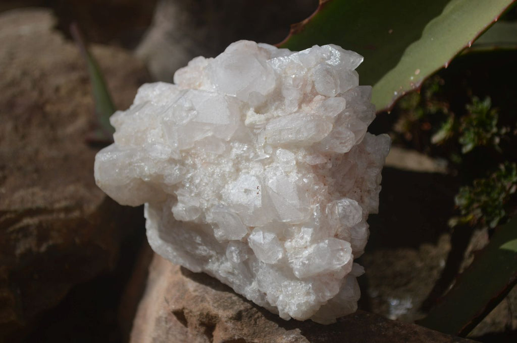 Natural White Candle Quartz Crystals  x 3 From Madagascar - Toprock Gemstones and Minerals 