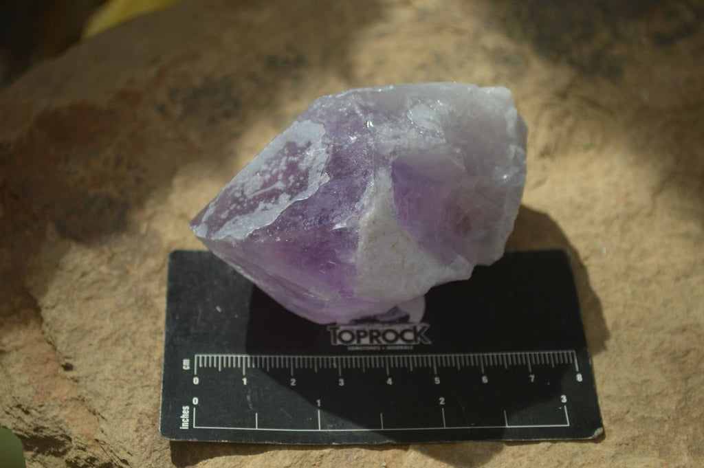 Natural Single Jacaranda Amethyst Crystals x 12 From Mumbwe, Zambia - Toprock Gemstones and Minerals 