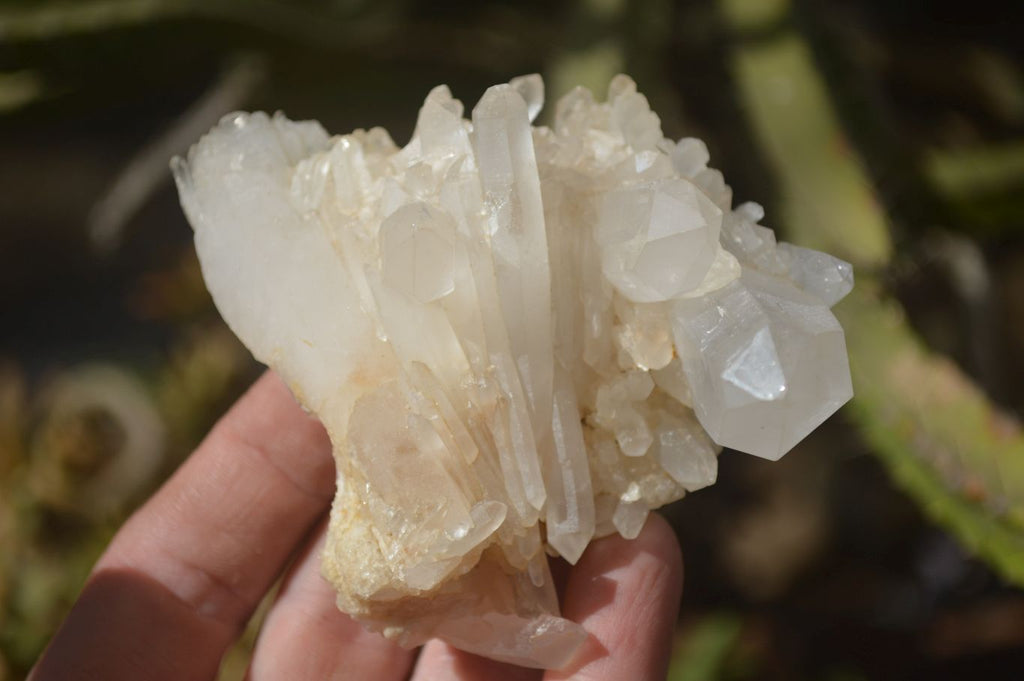 Natural Clear Quartz Clusters & Crystals  x 12 From Madagascar - Toprock Gemstones and Minerals 