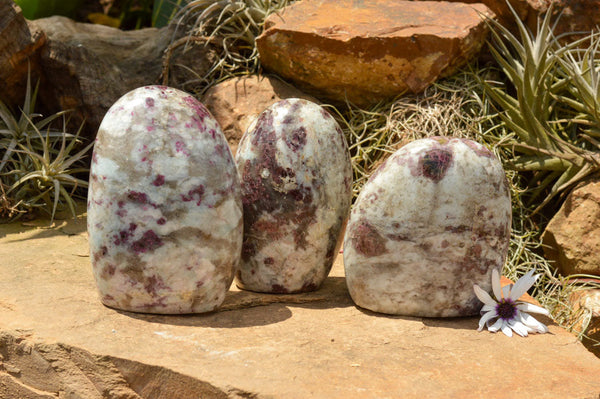 Polished Rubellite Pink Tourmaline Standing Free Forms  x 3 From Madagascar - TopRock