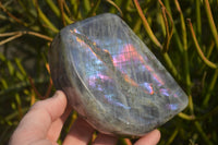 Polished Rare Purple Flash Labradorite Standing Free Forms x 2 From Tulear, Madagascar - Toprock Gemstones and Minerals 