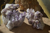 Natural Sugar Amethyst Clusters  x 2 From Zambia