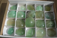 Polished Emerald Fluorite Palm Stones  x 20 From Madagascar
