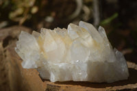 Natural Clear Quartz Clusters & Crystals  x 12 From Madagascar - Toprock Gemstones and Minerals 