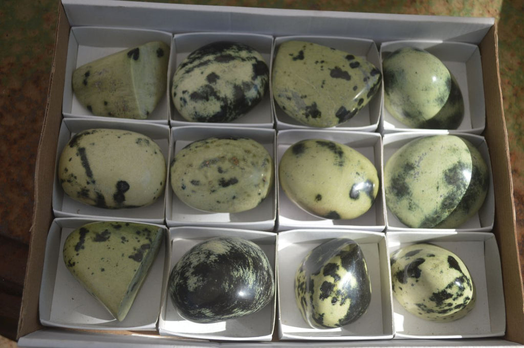 Polished Spotted Leopard Stone Free Forms  x 12 From Zimbabwe - Toprock Gemstones and Minerals 