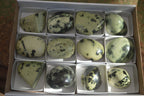 Polished Spotted Leopard Stone Free Forms  x 12 From Zimbabwe - Toprock Gemstones and Minerals 