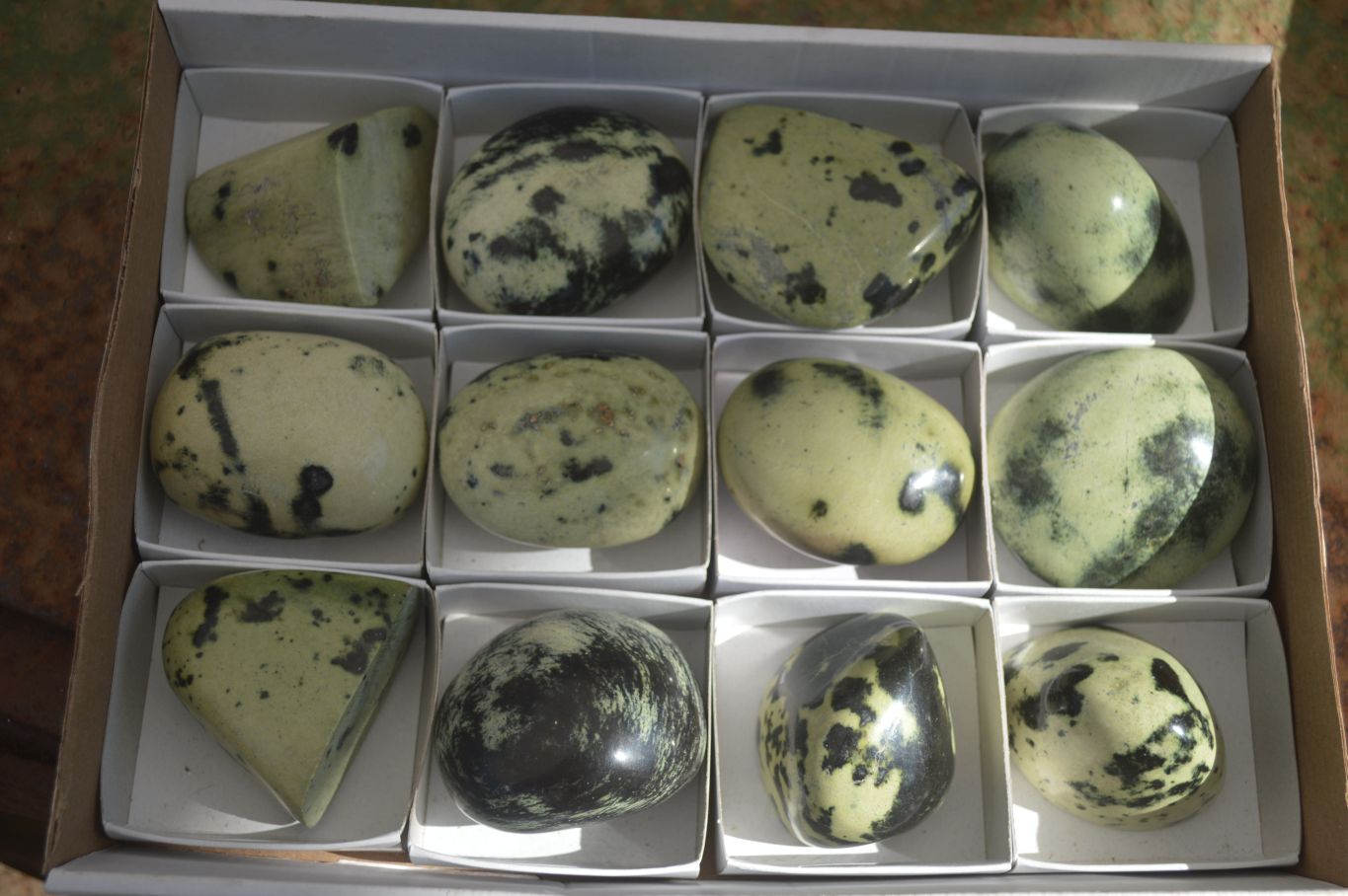 Polished Spotted Leopard Stone Free Forms  x 12 From Zimbabwe - Toprock Gemstones and Minerals 